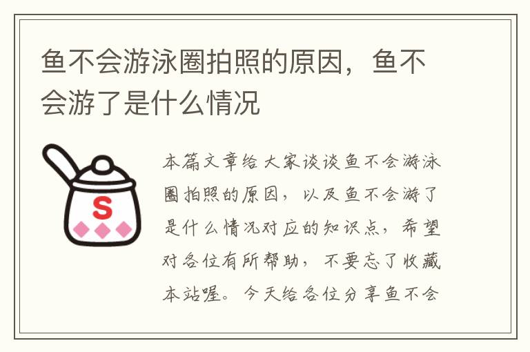 鱼不会游泳圈拍照的原因，鱼不会游了是什么情况