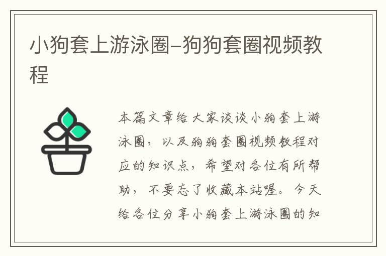 小狗套上游泳圈-狗狗套圈视频教程