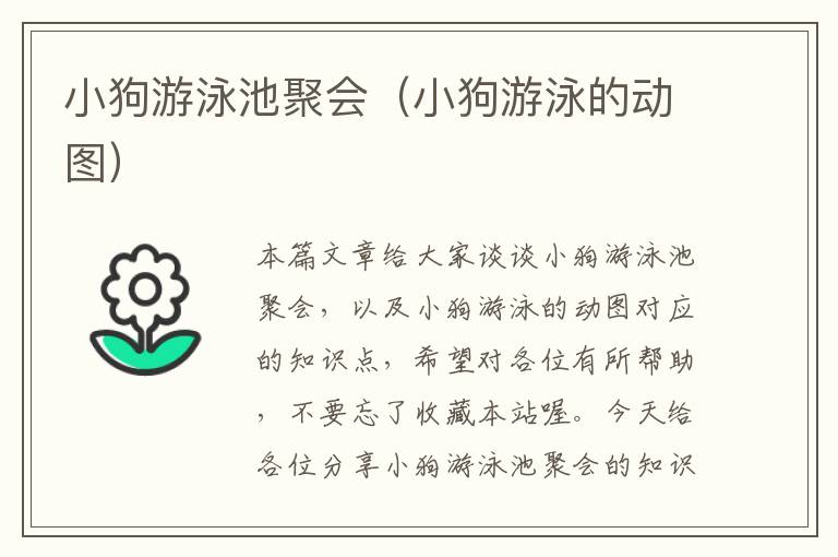 小狗游泳池聚会（小狗游泳的动图）